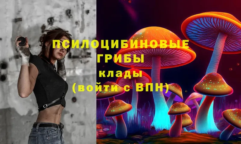 Галлюциногенные грибы Psilocybine cubensis  Ярцево 